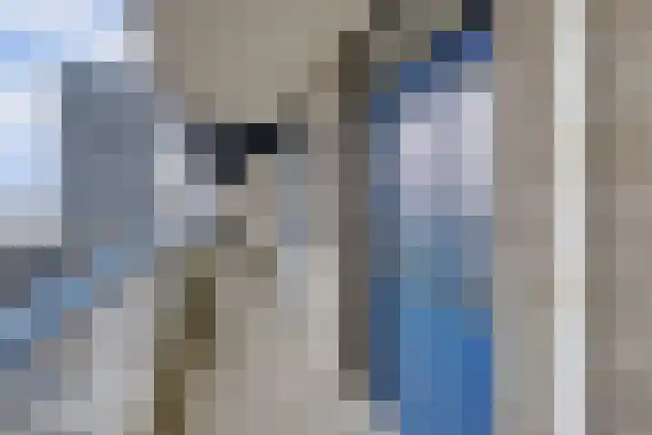 Witherenstraat 182 Venlo thumbnail 4