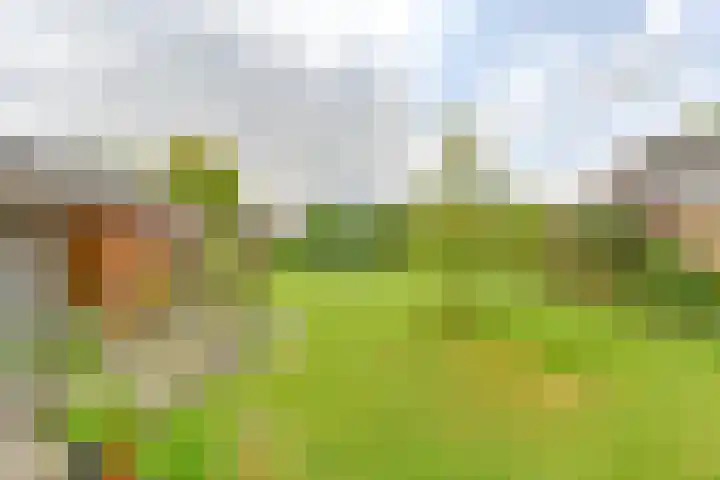 Witherenstraat 7 E Venlo thumbnail 10