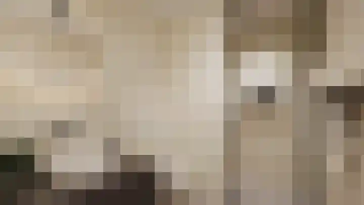 Witherenstraat 7 E Venlo thumbnail 4