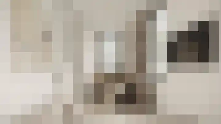 Witherenstraat 7 E Venlo thumbnail 5