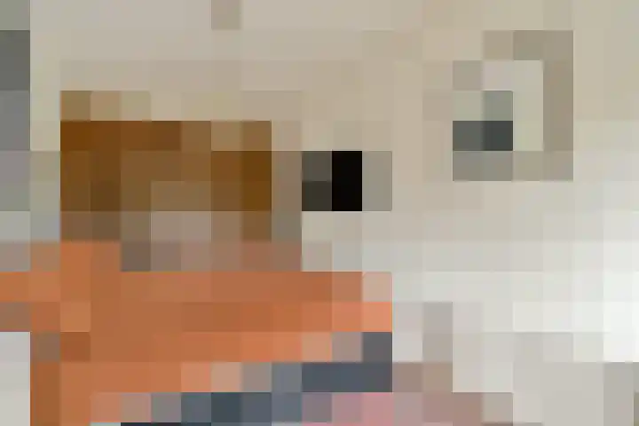 Witherenstraat 7 P Venlo thumbnail 9