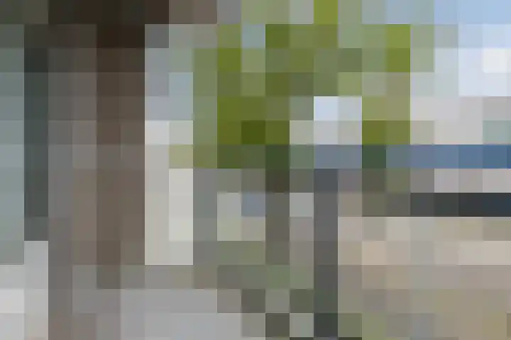 Witherenstraat 72 Venlo thumbnail 35