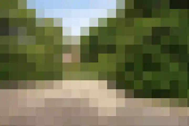 Witherenstraat 80 Venlo