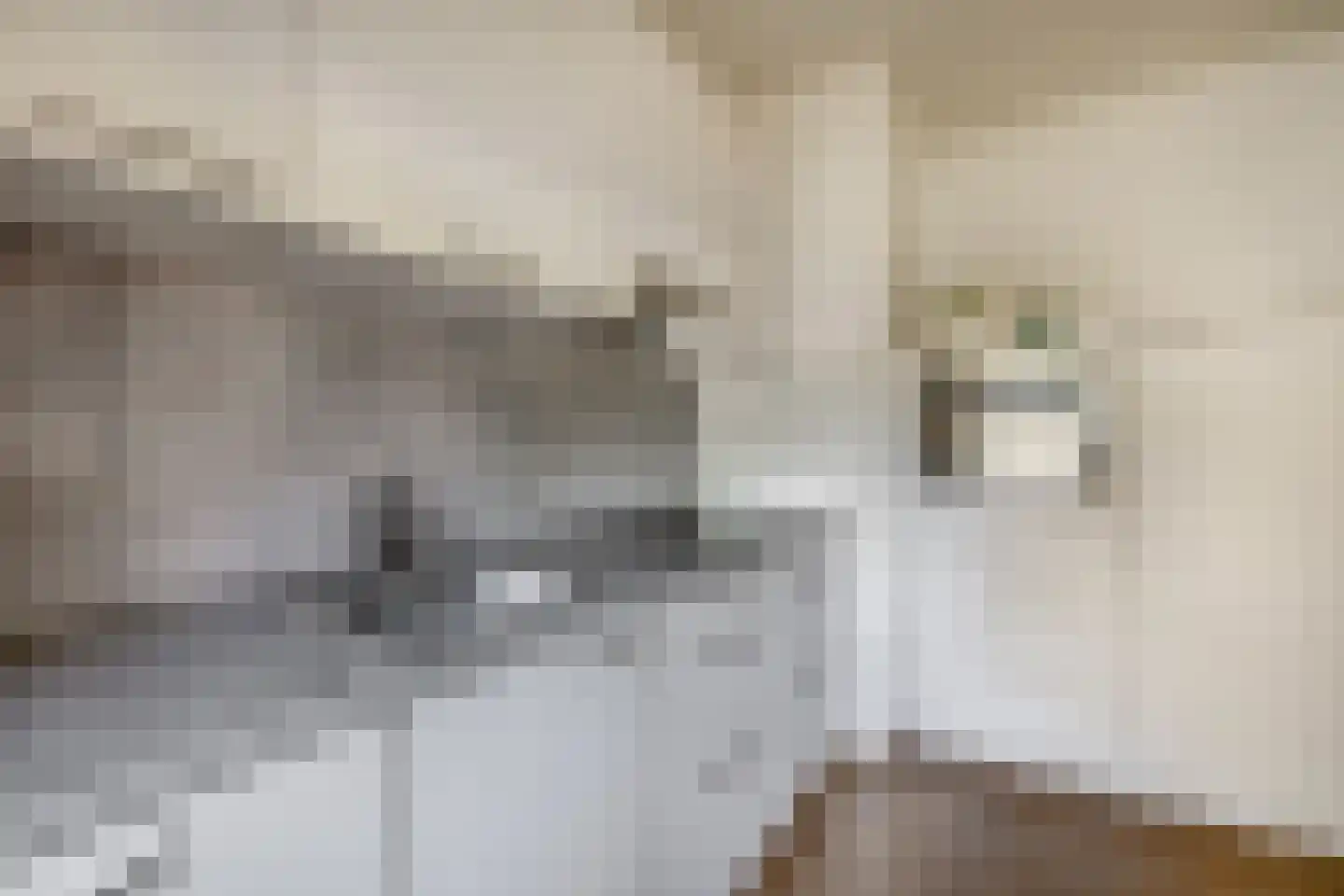 Witherenstraat 86 Venlo thumbnail 11