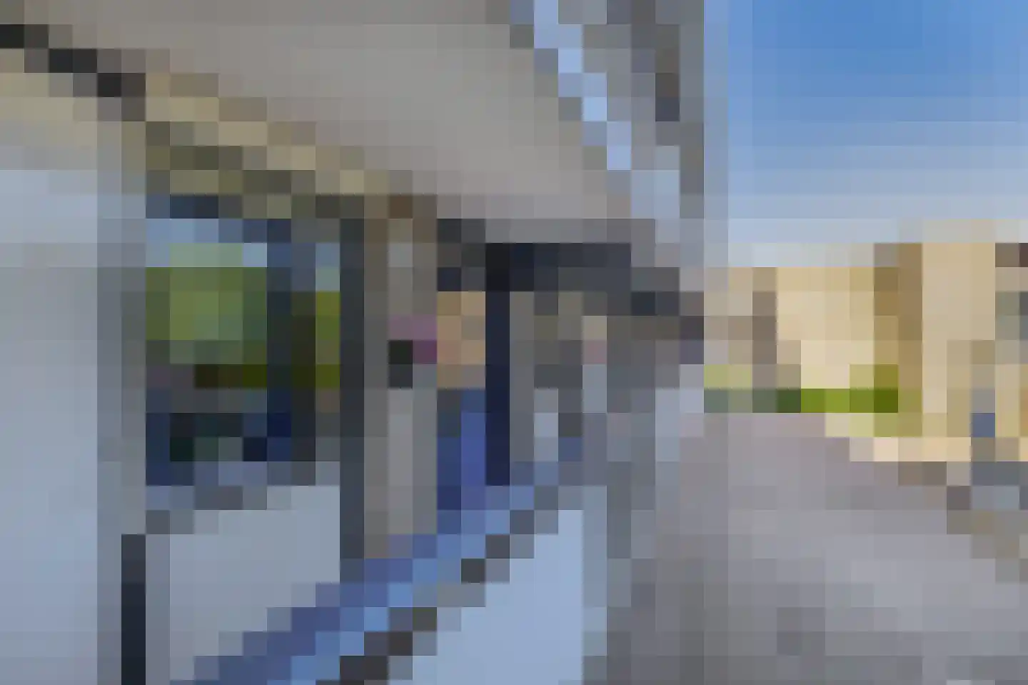 Witherenstraat 86 Venlo thumbnail 24