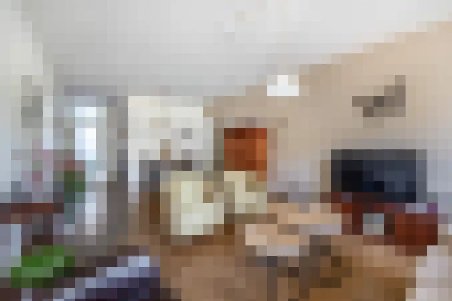 Witherenstraat 86 Venlo thumbnail 8