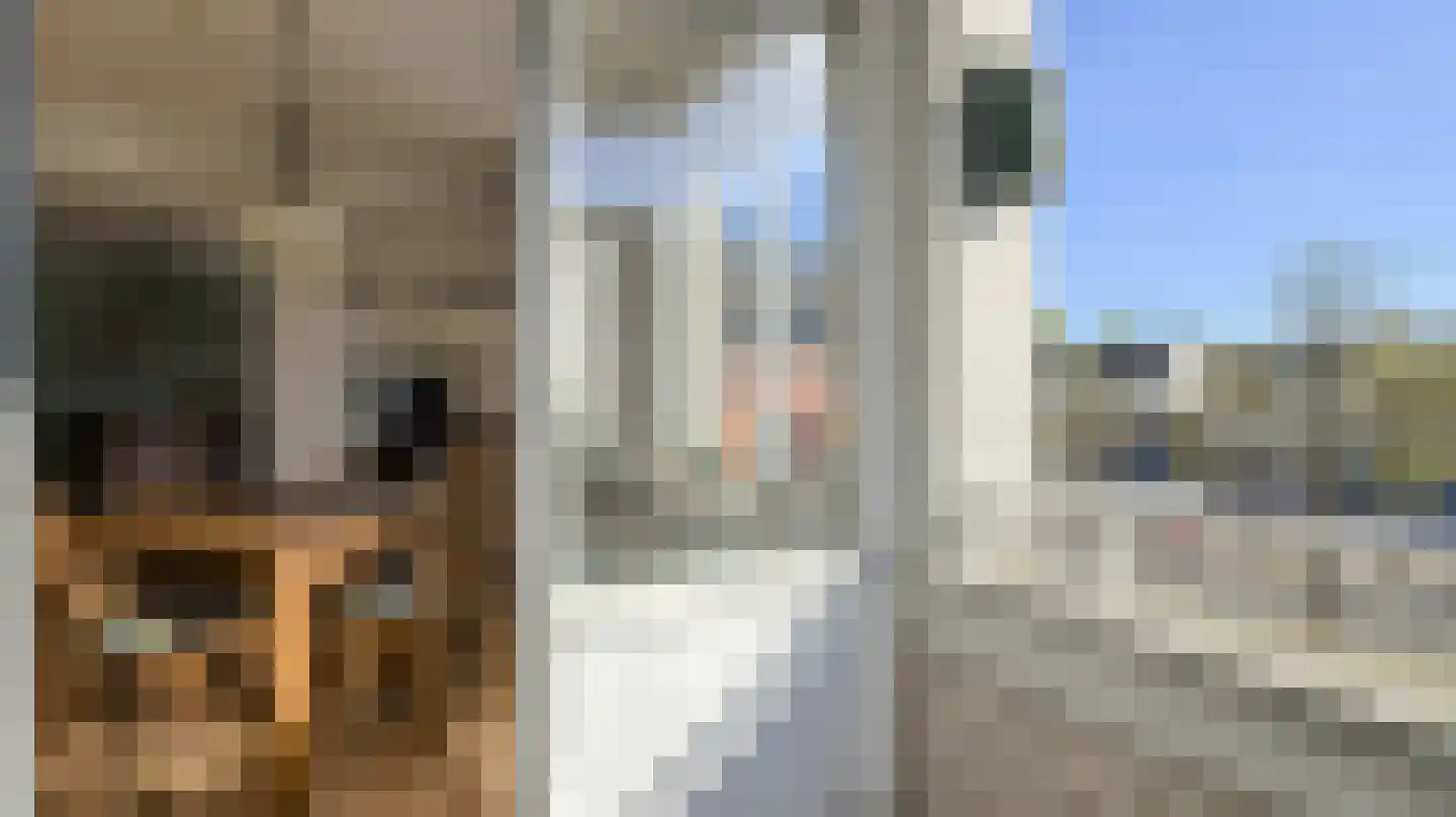 Withof 5 Ulvenhout thumbnail 16