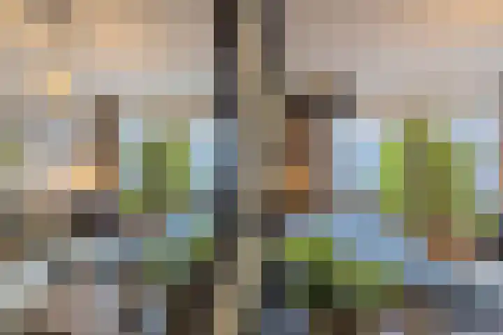 Withof 7 Ulvenhout thumbnail 19