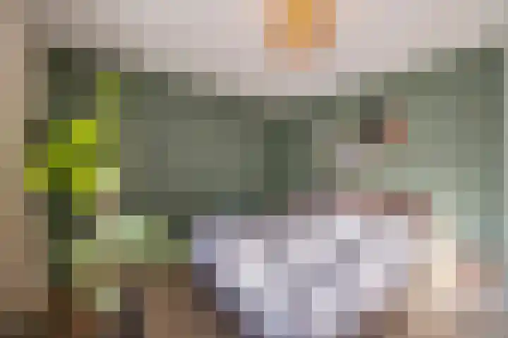Withof 7 Ulvenhout thumbnail 23