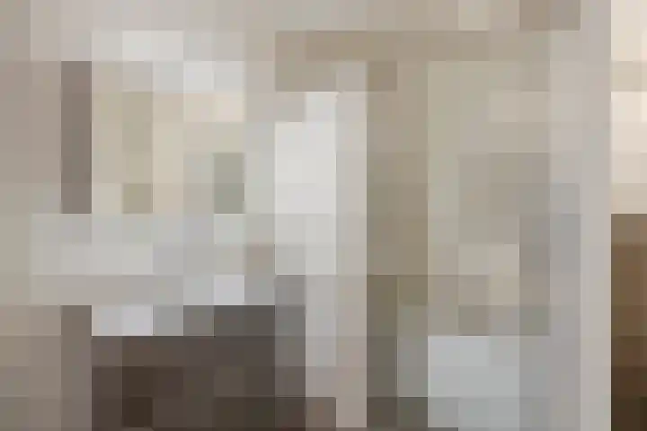 Withof 7 Ulvenhout thumbnail 27