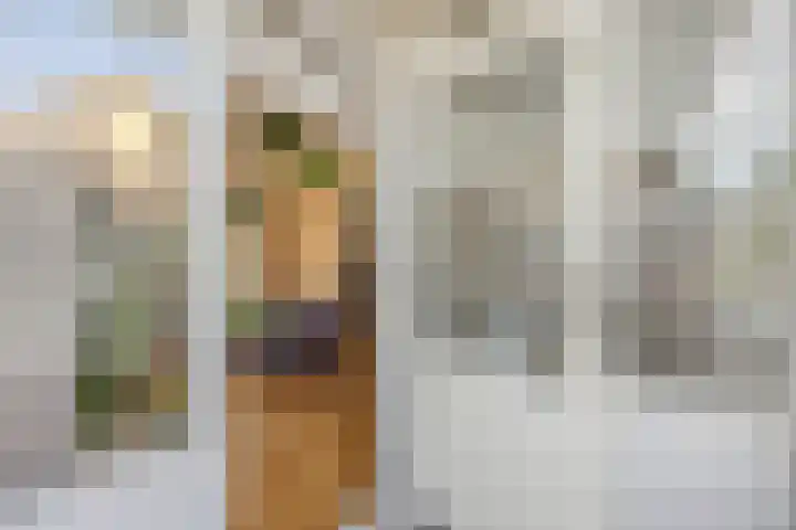 Withof 7 Ulvenhout thumbnail 29