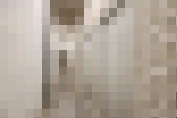 Withof 7 Ulvenhout thumbnail 31
