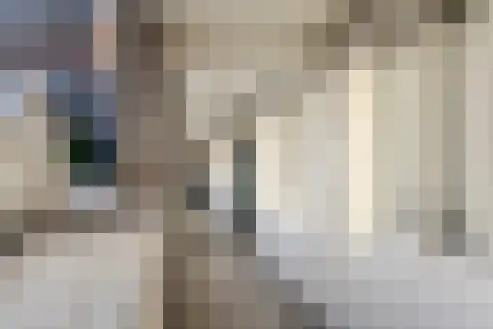 Withof 7 Ulvenhout thumbnail 34