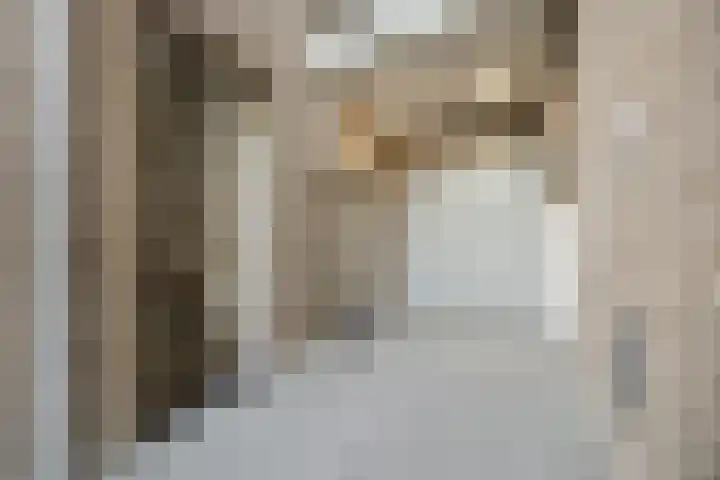 Withof 7 Ulvenhout thumbnail 37