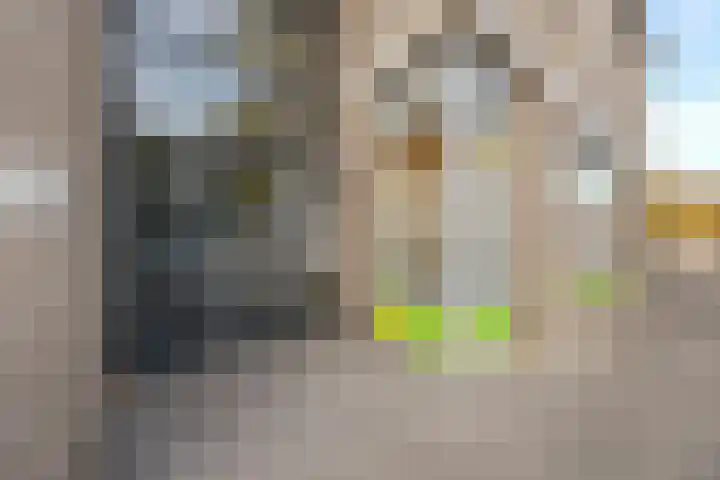 Withof 7 Ulvenhout thumbnail 38