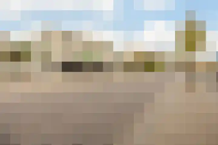 Withof 7 Ulvenhout thumbnail 45