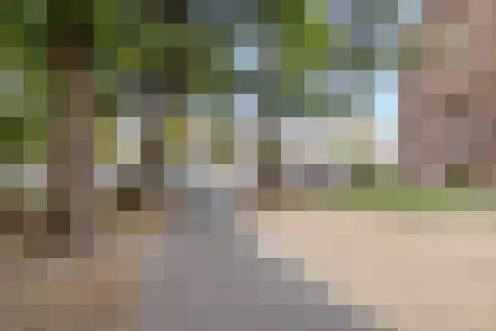 Withof 7 Ulvenhout thumbnail 46