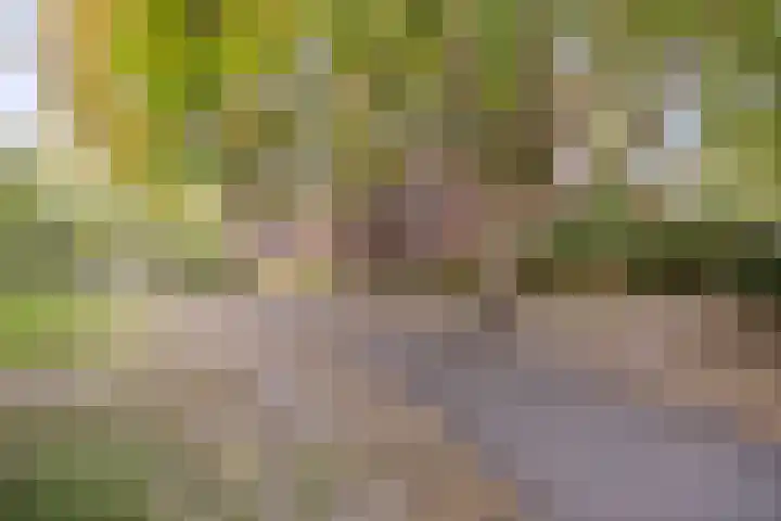 Withof 7 Ulvenhout thumbnail 49