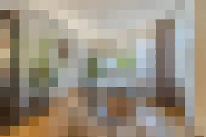 Withof 7 Ulvenhout thumbnail 7