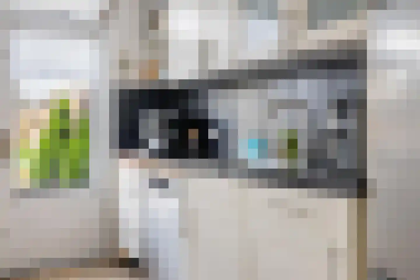 Withofstraat 17 Etten-Leur thumbnail 10