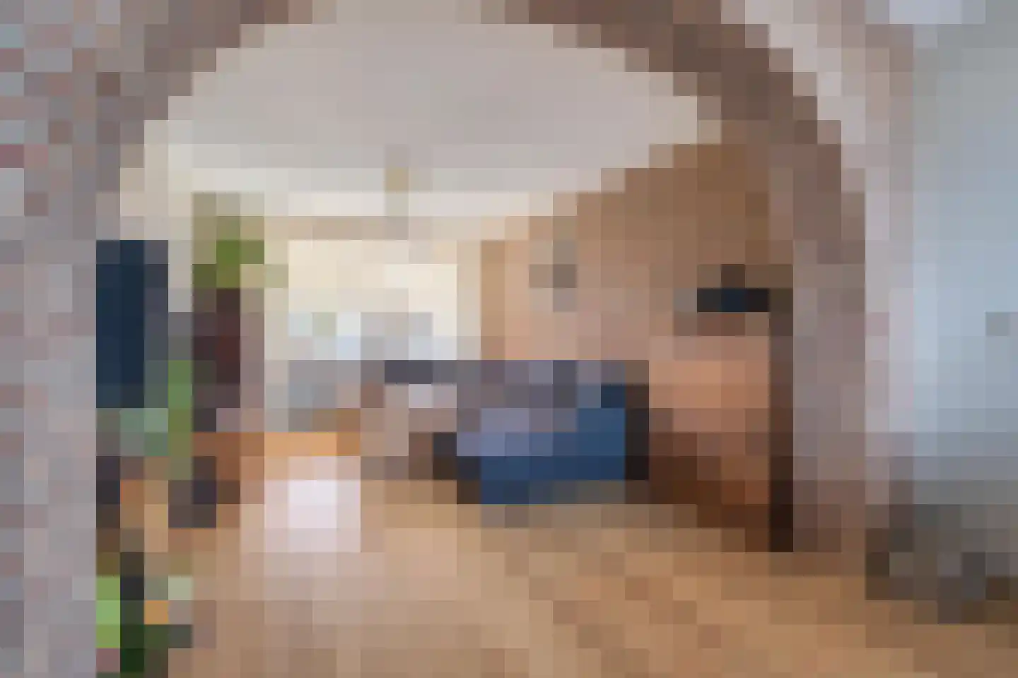 Withofstraat 17 Etten-Leur thumbnail 15