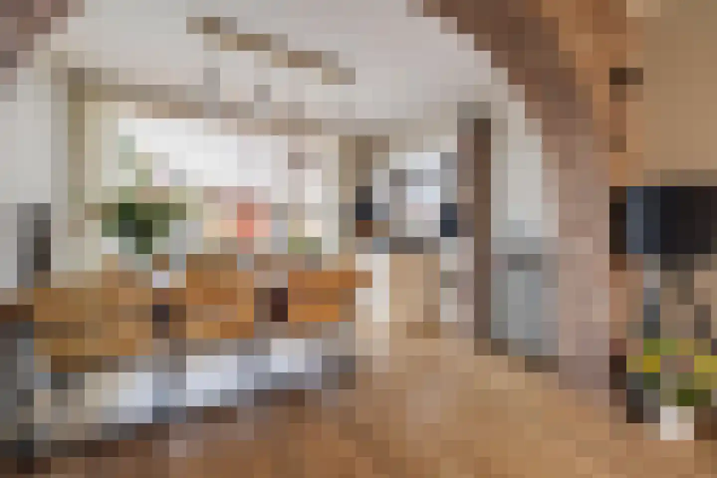 Withofstraat 17 Etten-Leur thumbnail 21