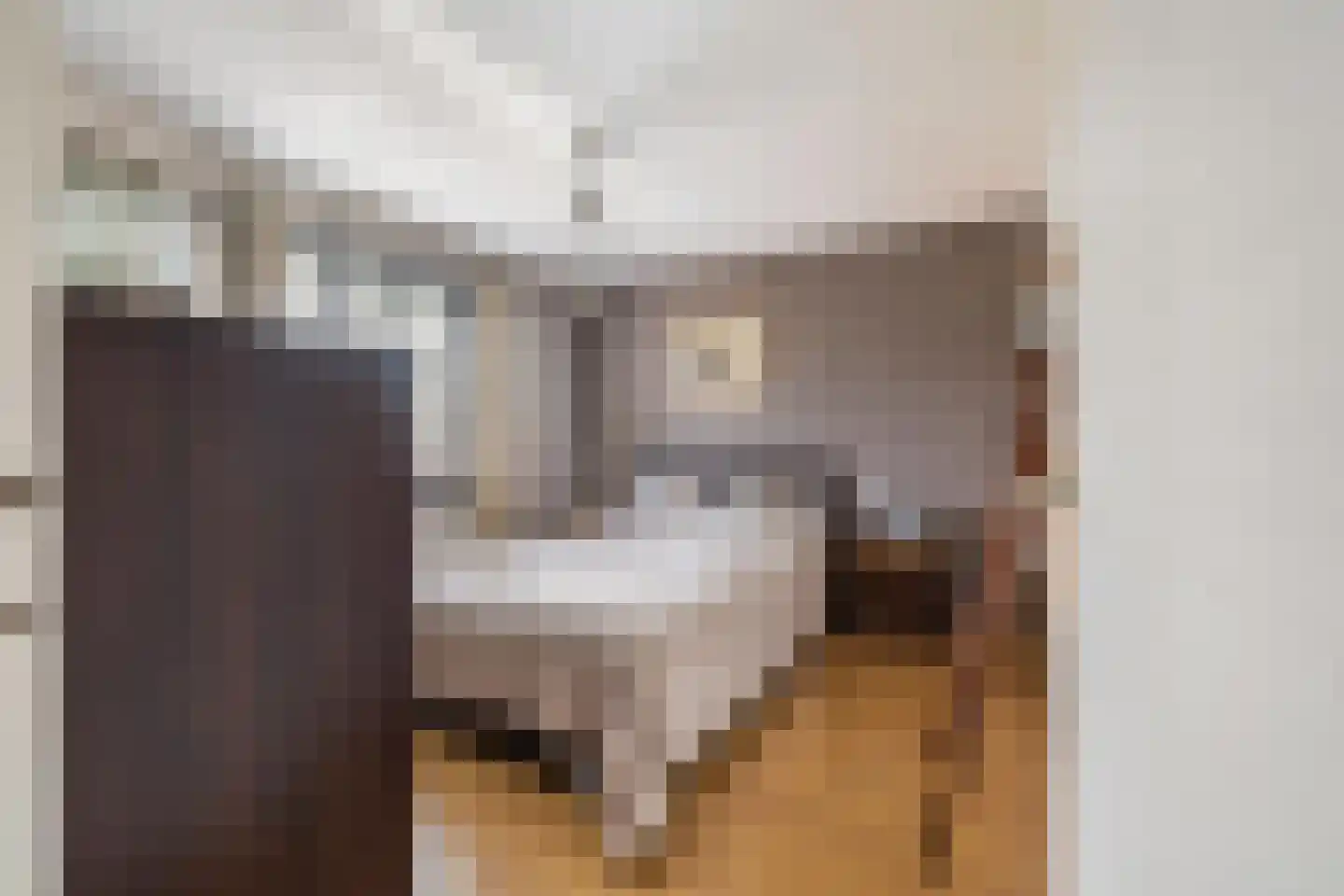 Withofstraat 17 Etten-Leur thumbnail 29