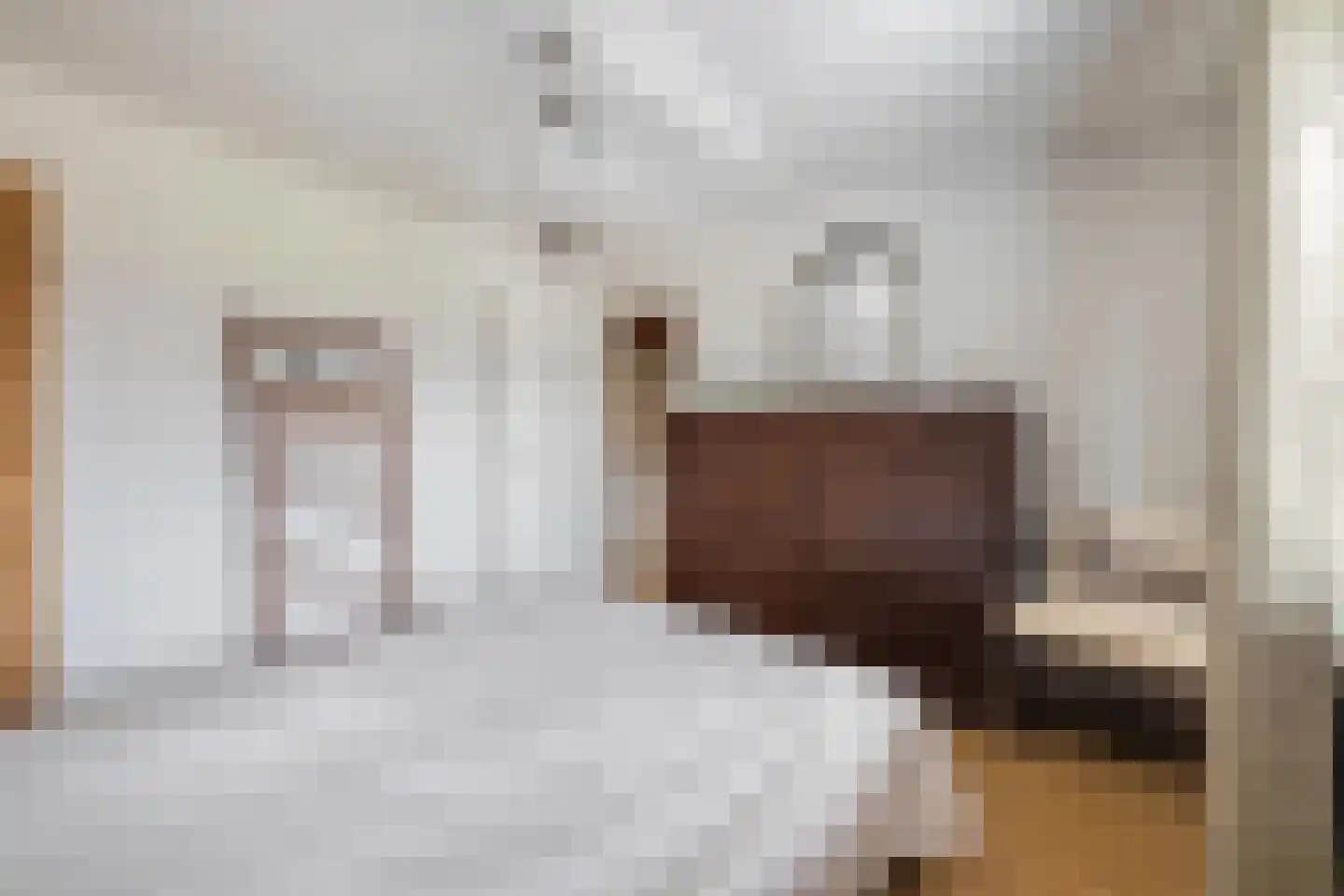 Withofstraat 17 Etten-Leur thumbnail 31
