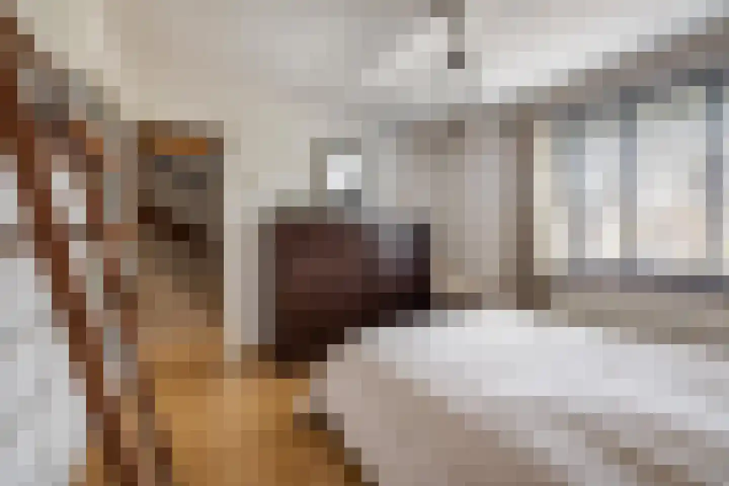 Withofstraat 17 Etten-Leur thumbnail 33