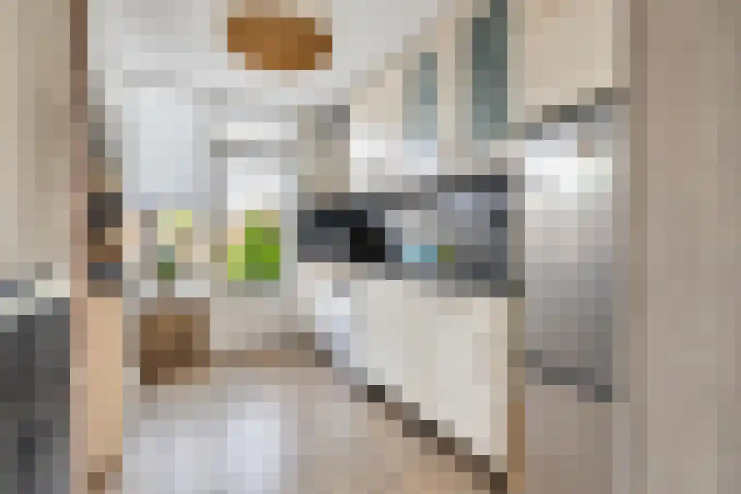 Withofstraat 17 Etten-Leur thumbnail 9