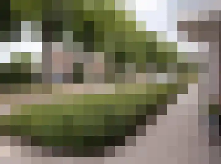 Withofstraat 29 Etten-Leur thumbnail 34
