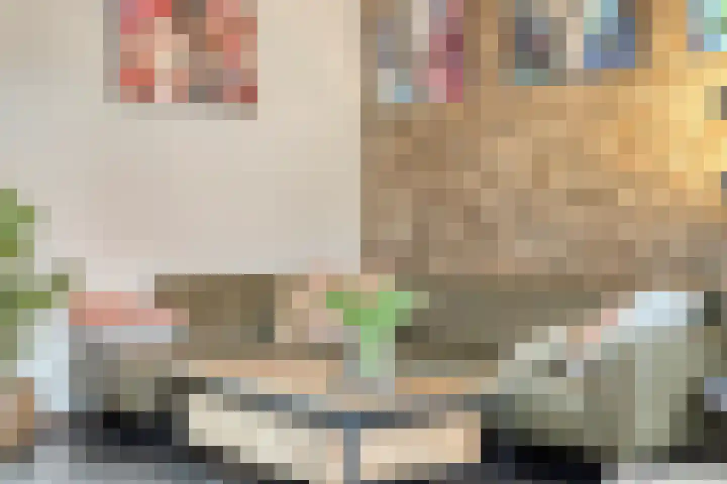 Withuis 16 Eijsden thumbnail 12
