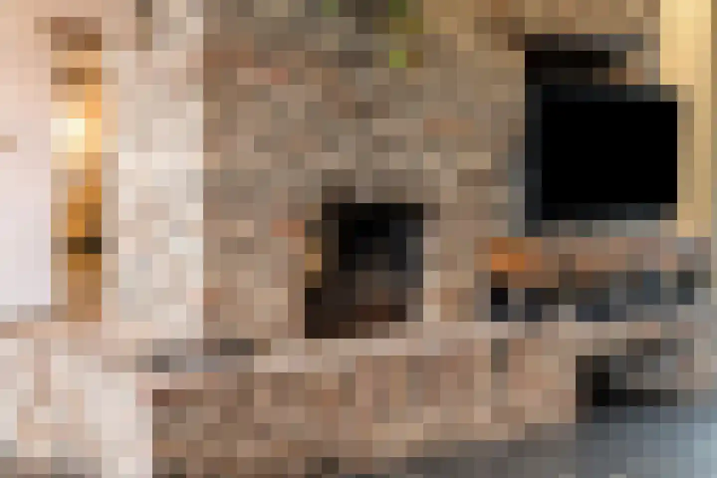 Withuis 16 Eijsden thumbnail 13