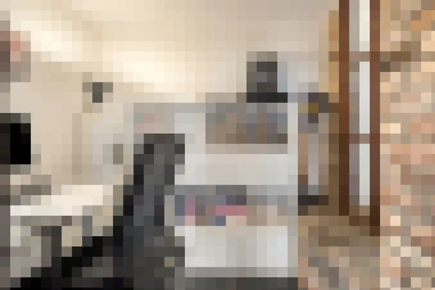 Withuis 16 Eijsden thumbnail 14