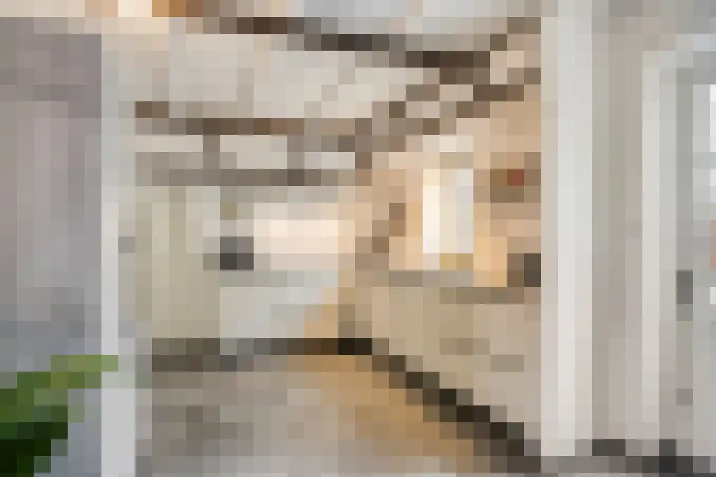 Withuis 16 Eijsden thumbnail 15