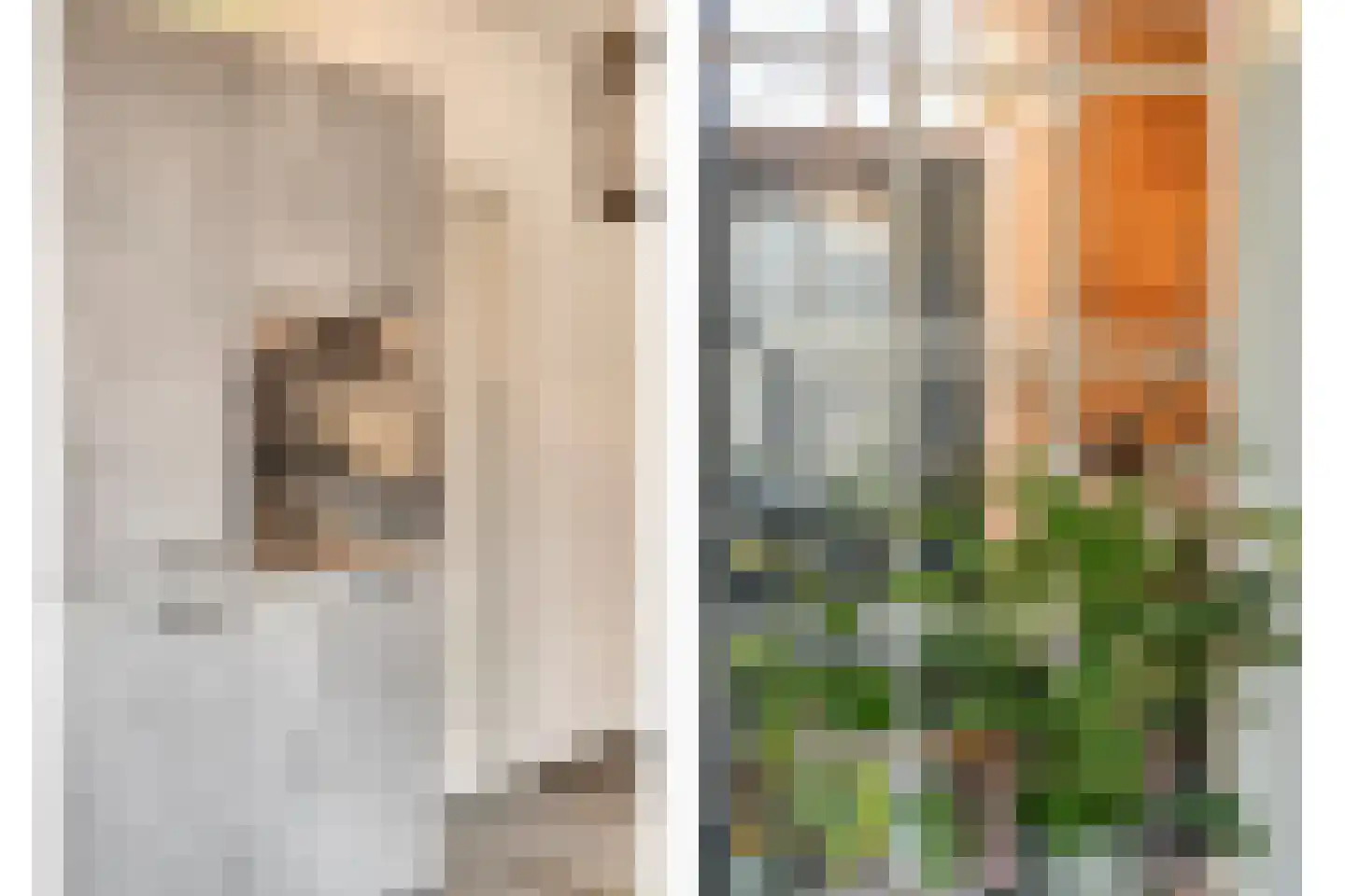 Withuis 16 Eijsden thumbnail 16