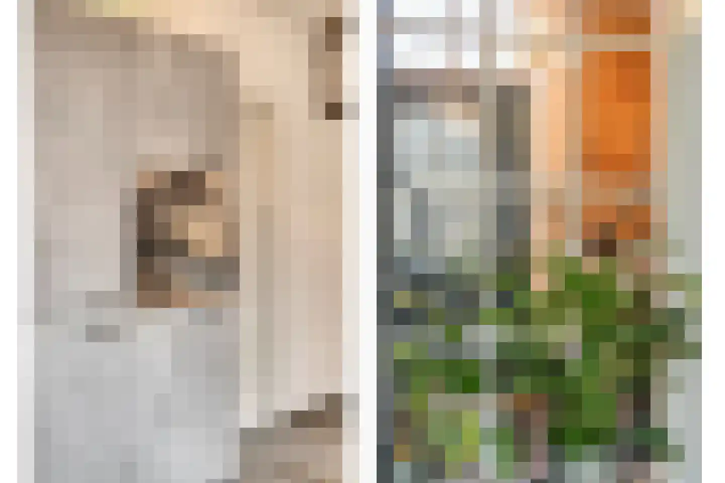 Withuis 16 Eijsden thumbnail 16