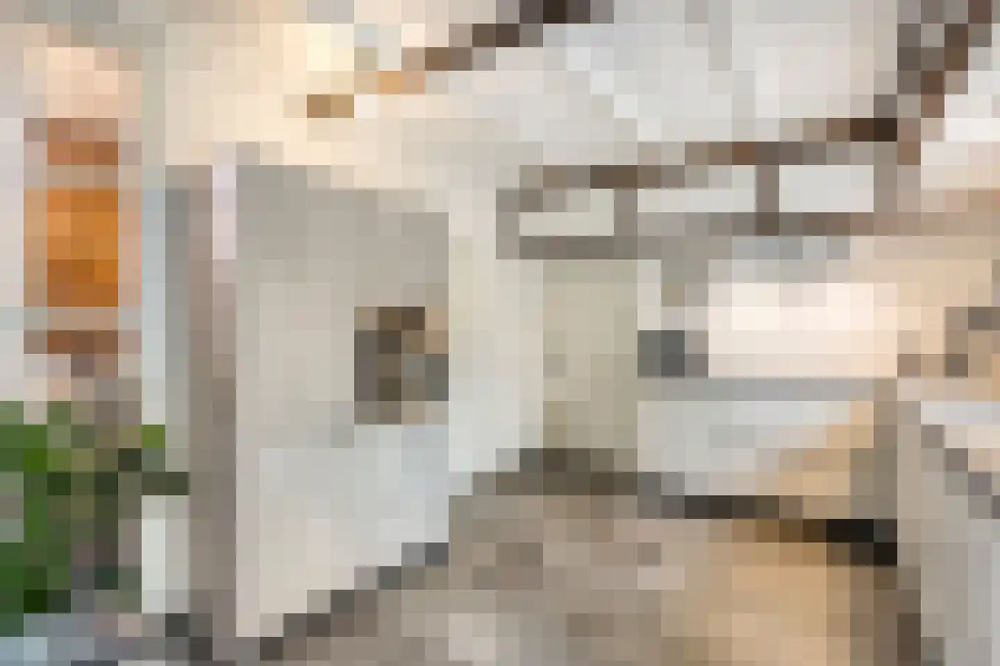 Withuis 16 Eijsden thumbnail 17