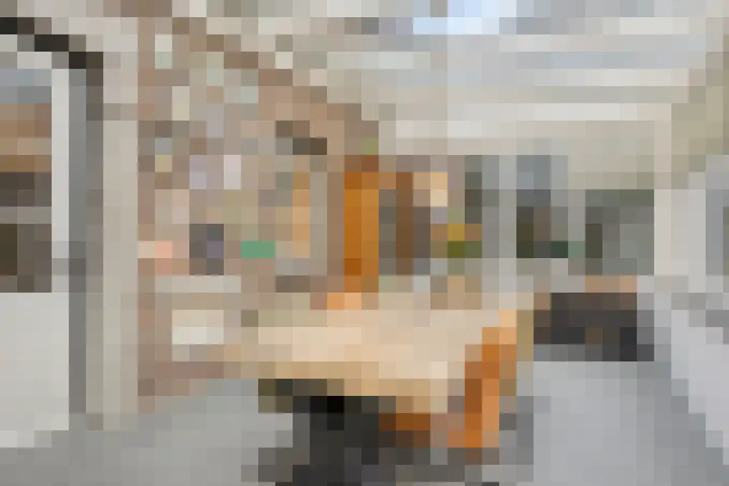 Withuis 16 Eijsden thumbnail 22