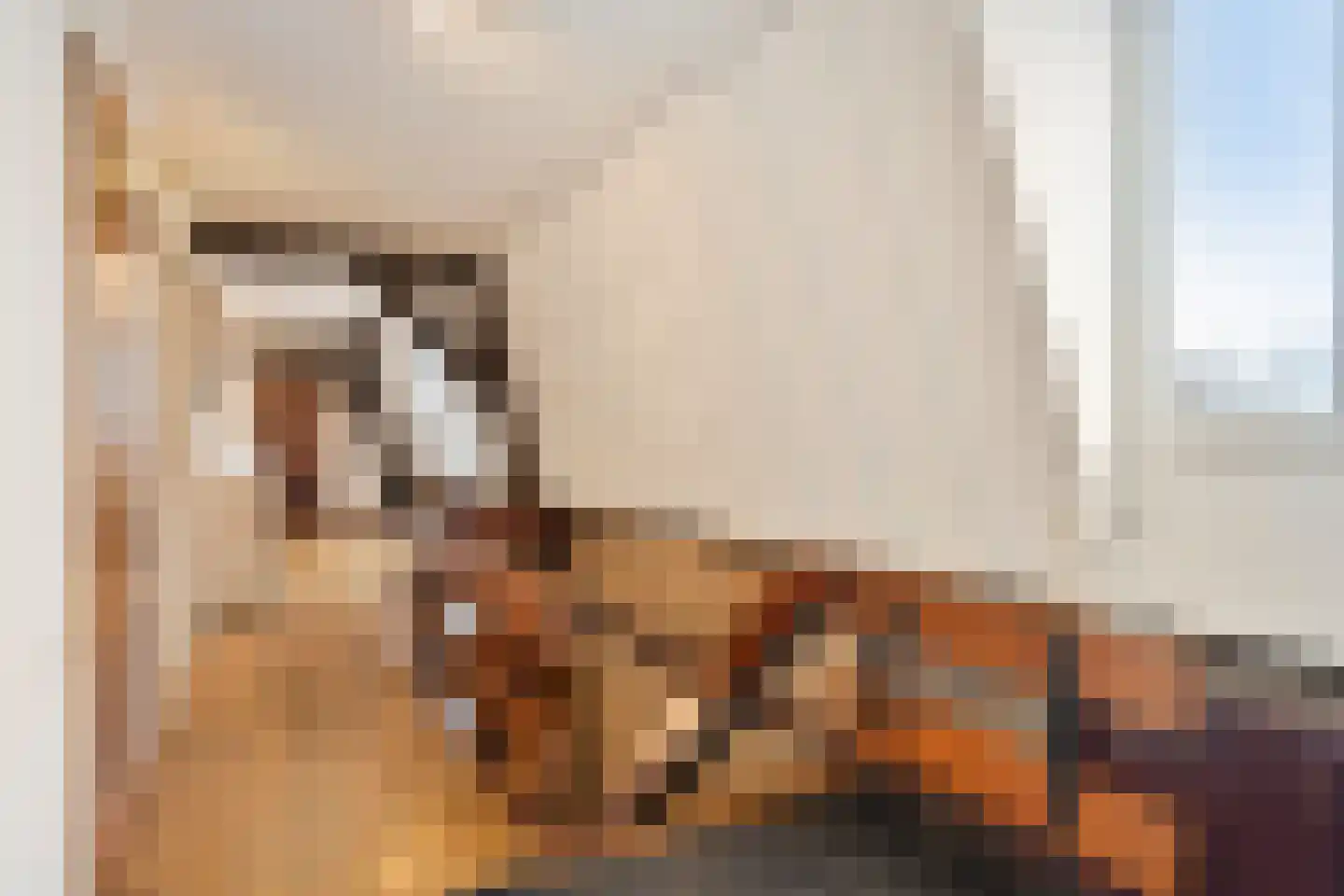 Withuis 16 Eijsden thumbnail 23
