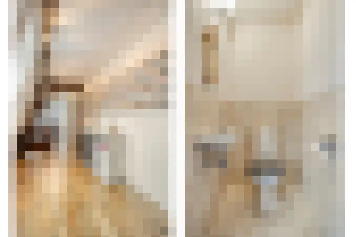 Withuis 16 Eijsden thumbnail 24