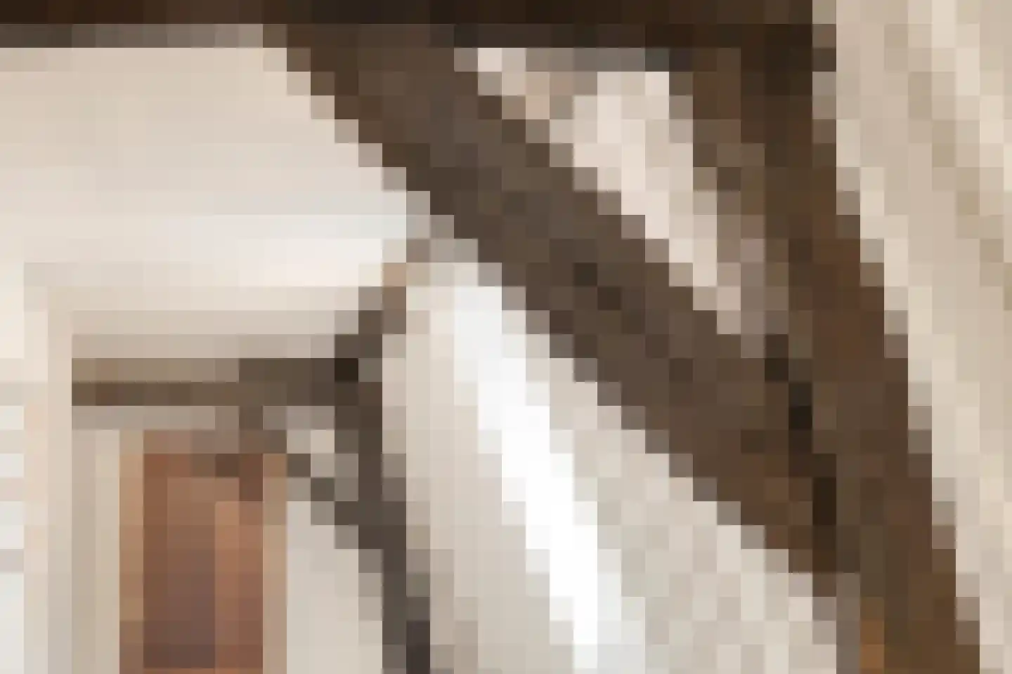 Withuis 16 Eijsden thumbnail 25