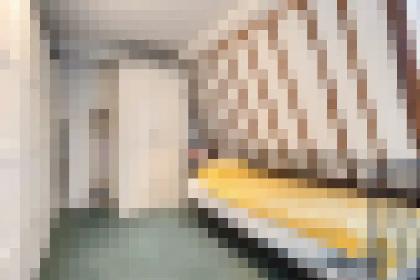 Withuis 16 Eijsden thumbnail 26