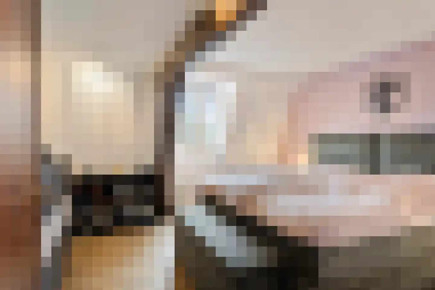 Withuis 16 Eijsden thumbnail 28