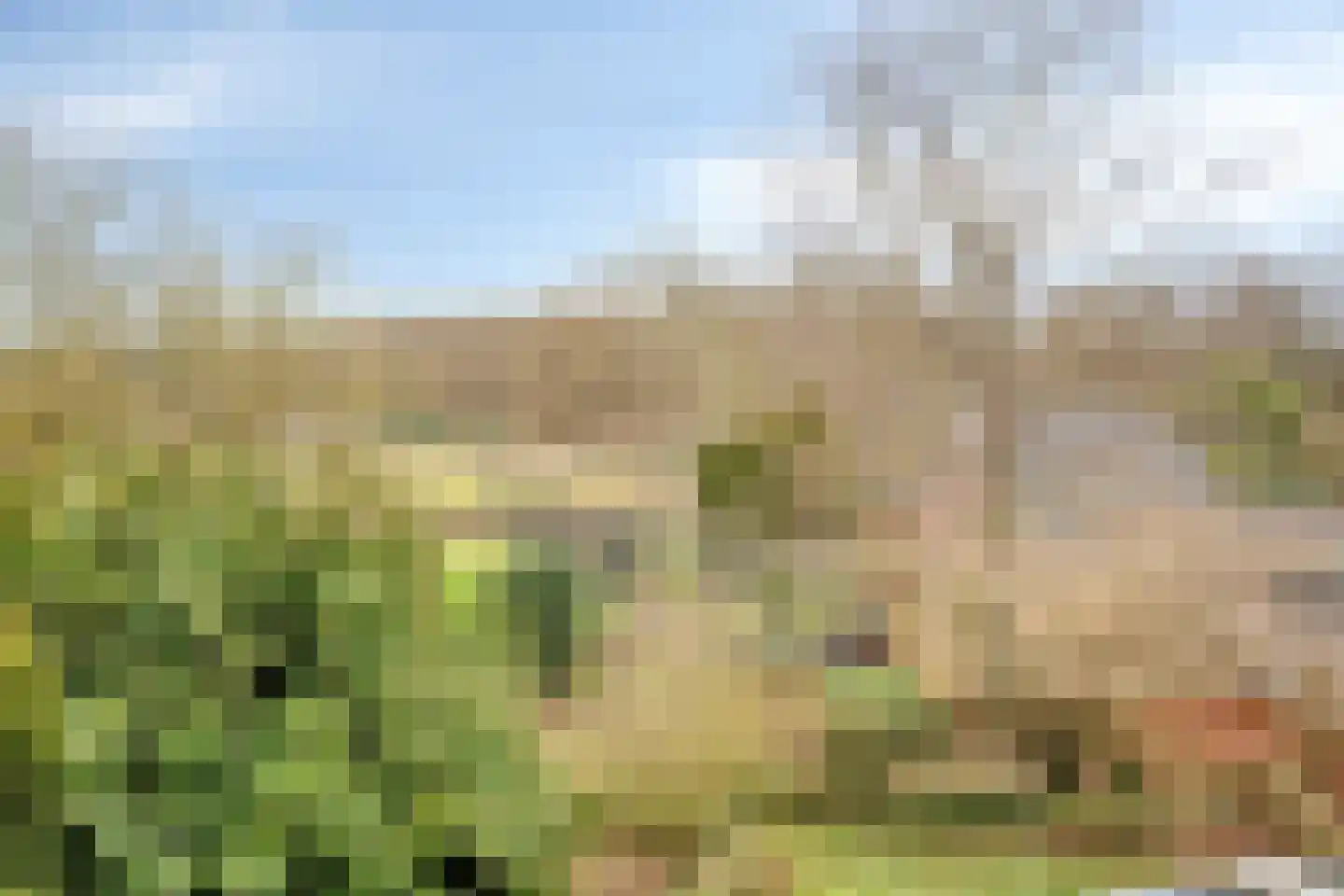 Withuis 16 Eijsden thumbnail 36