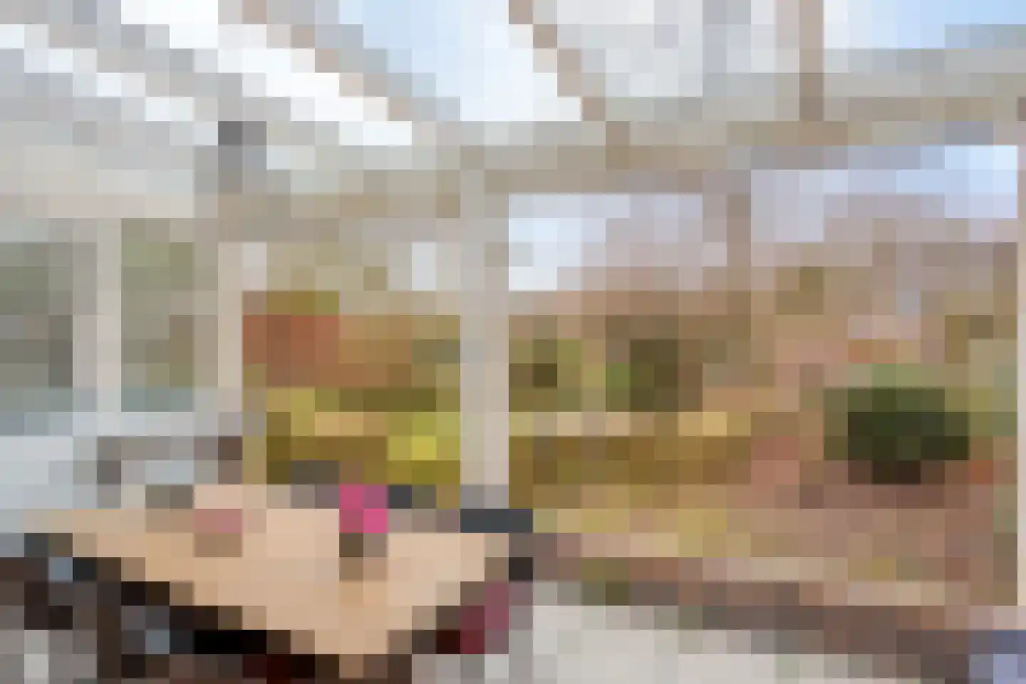Withuis 16 Eijsden thumbnail 38