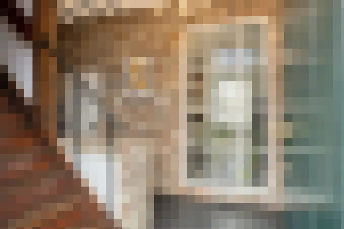 Withuis 16 Eijsden thumbnail 4