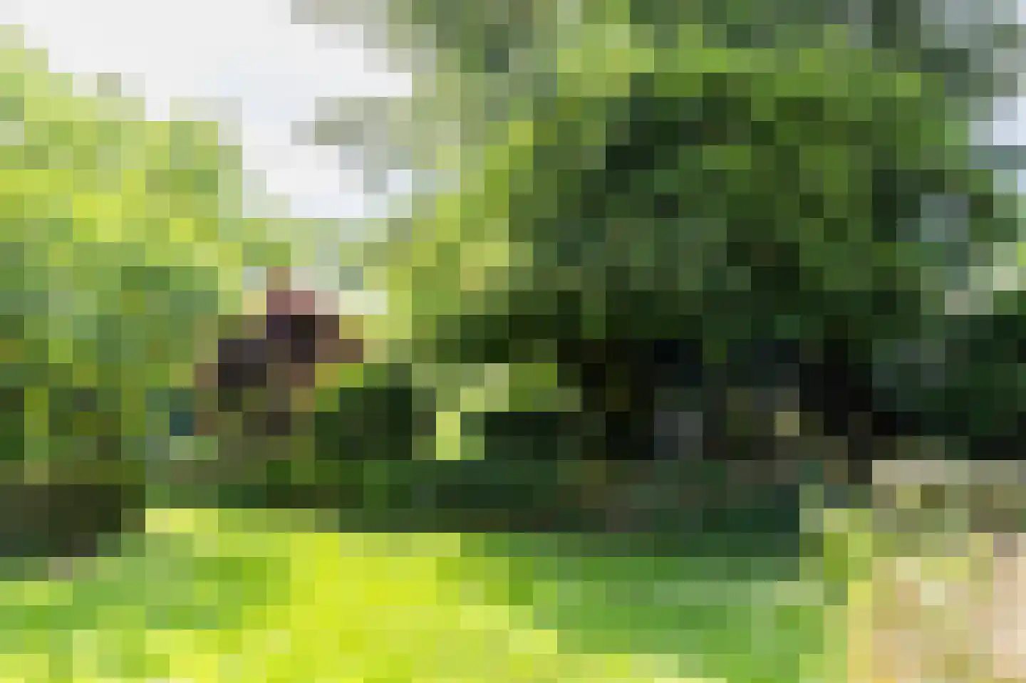 Withuis 16 Eijsden thumbnail 40
