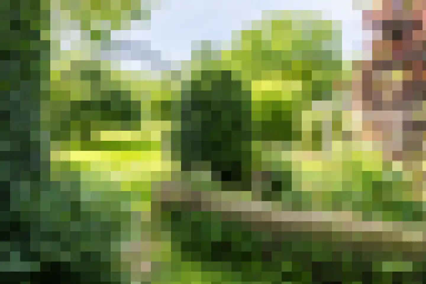 Withuis 16 Eijsden thumbnail 42