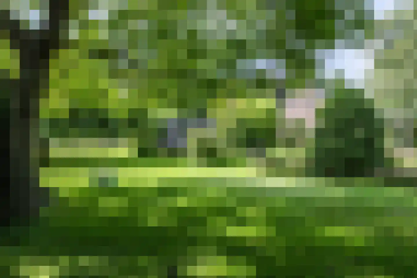 Withuis 16 Eijsden thumbnail 43